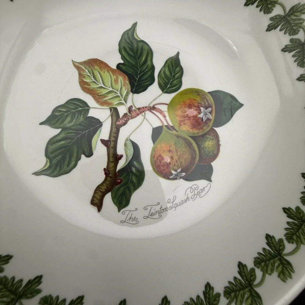 Portmeirion Pomona Pasta Bowl Set of 2 Fruit Botanical White England Laurel